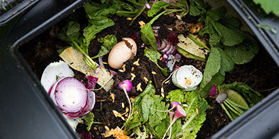 Compost Your Scraps