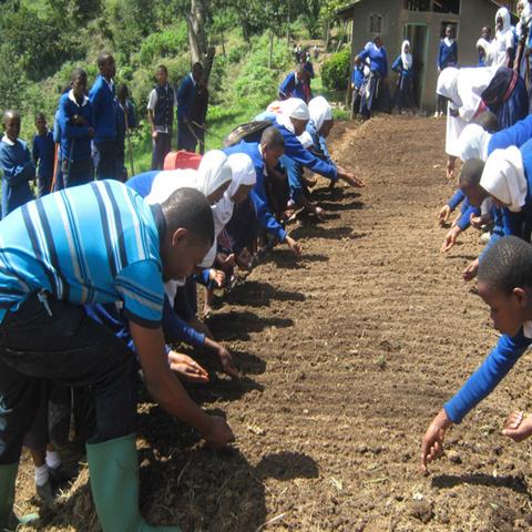 Wowe LifeStyle Gives Back Tanzania One Tree Planted