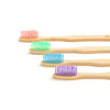 colorful bamboo toothbrush